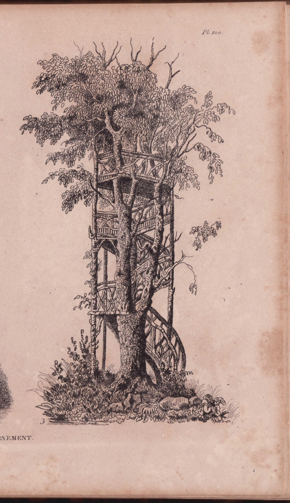 The tree house in Portugal, a book history // 2021 Foxcroft Lecture // 21 September