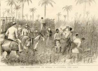 CFP: Locating Knowledge: Science and Technology in Commodity Frontiers