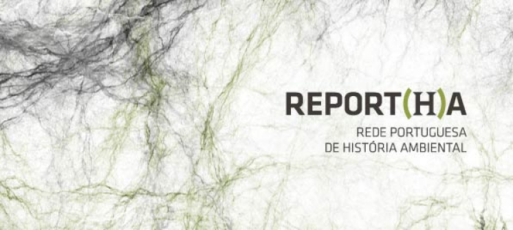 Curso online: "História, Ambiente e Conhecimento no Antropoceno – edição especial Fogo"