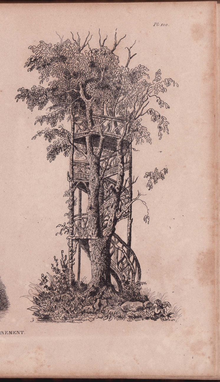 The tree house in Portugal, a book history // 2021 Foxcroft Lecture // 21 September