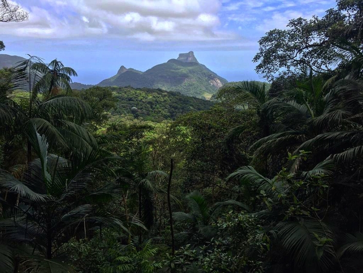 Naturae theatrum et mundum/ The theatre of nature and the world/ O teatro da natureza e o mundo