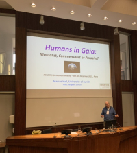 VI Report(h)a - Book of abstracts