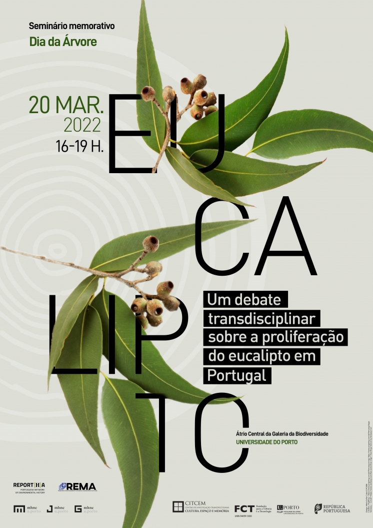 Seminário: Eucalipto (20 Março)