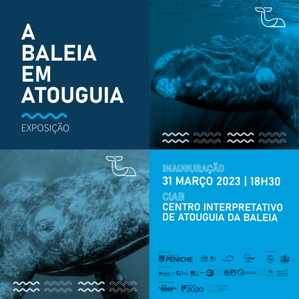 Exposição | A Baleia em Atouguia