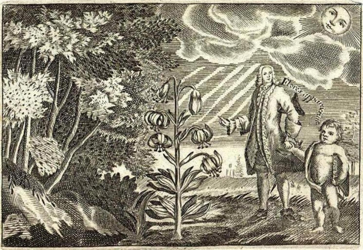 Portrait of a Flora: José Quer y Martínez and the Botany of Enlightened Spain (1762-1764)